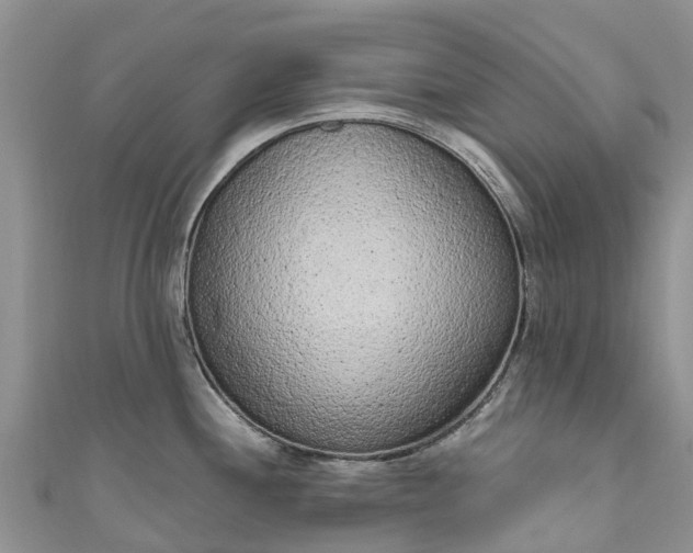X0000110961244200906261335