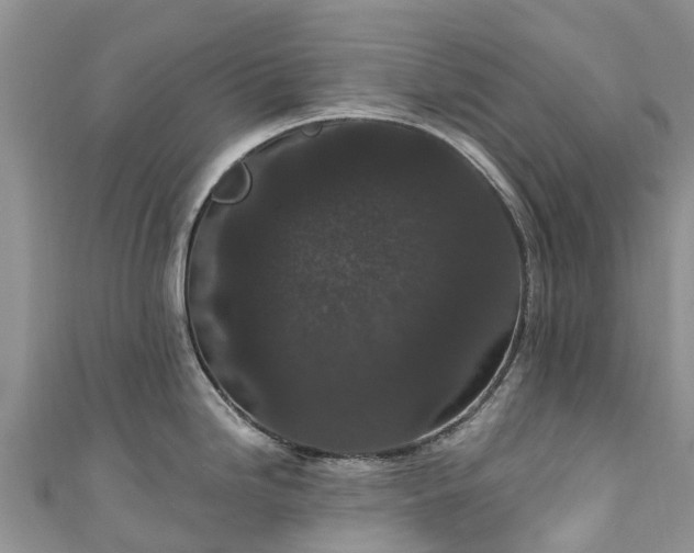 X0000110961246200906261335