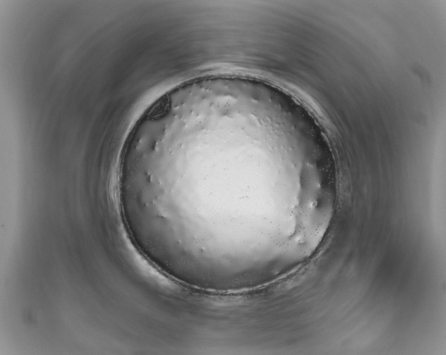 X0000110961247200906261335