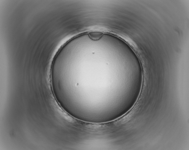 X0000110961248200906261335
