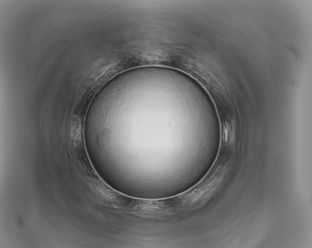 X0000110961251200906261334
