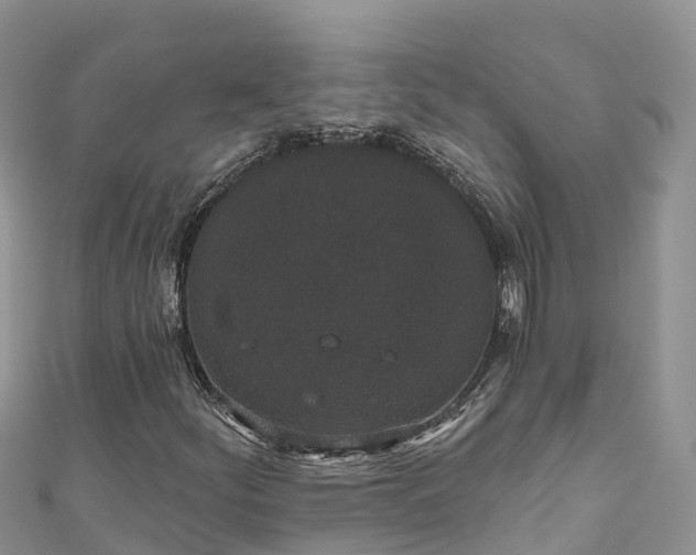 X0000110961252200906261334