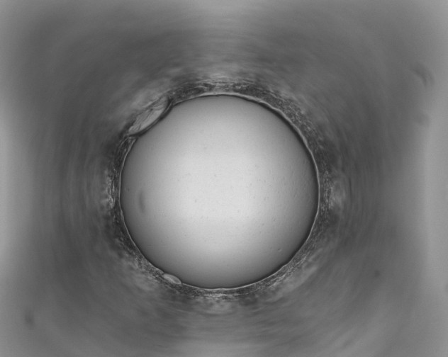 X0000110961253200906261334