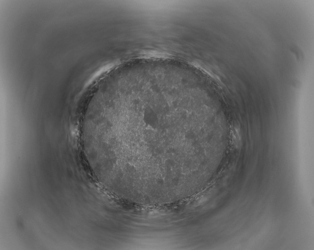 X0000110961254200906261334