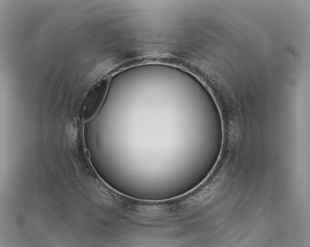 X0000110961257200906261334