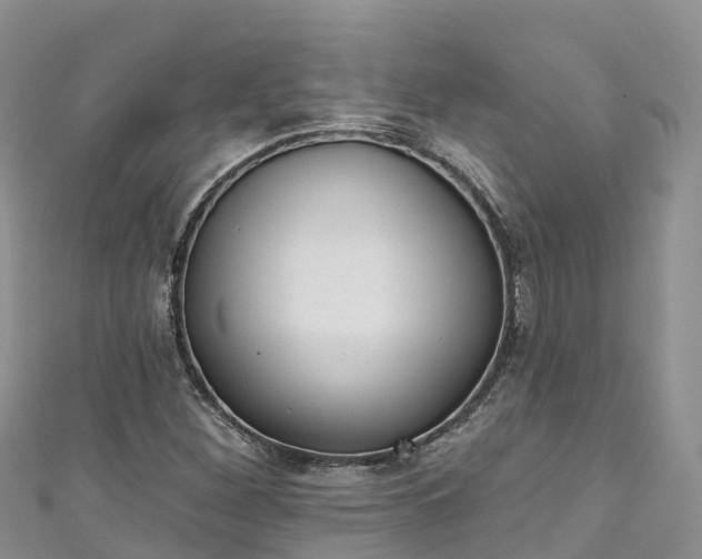 X0000110961260200906261334