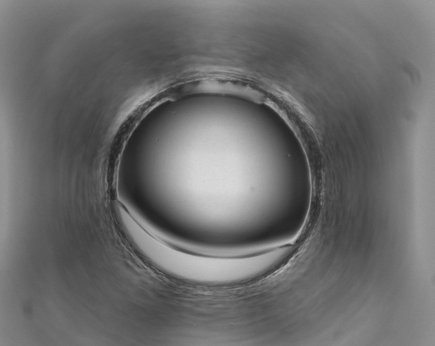 X0000110961261200906261334
