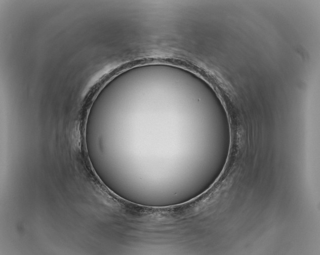 X0000110961262200906261334
