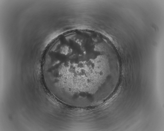 X0000110961263200906261334