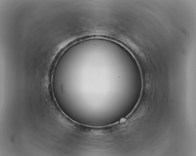 X0000110961264200906261334