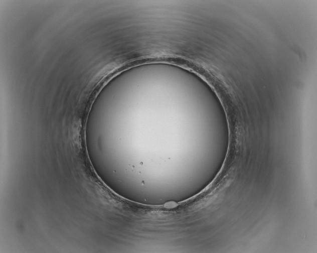 X0000110961265200906261334
