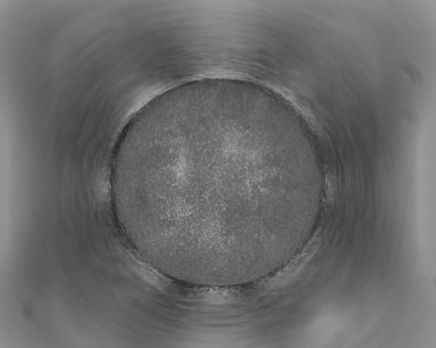 X0000110961266200906261334