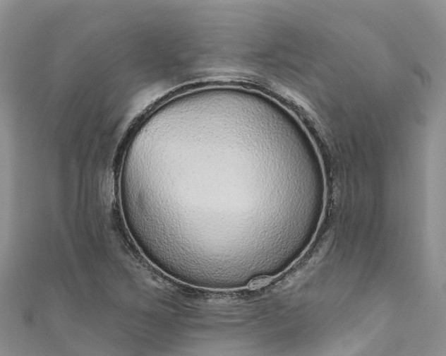 X0000110961267200906261334