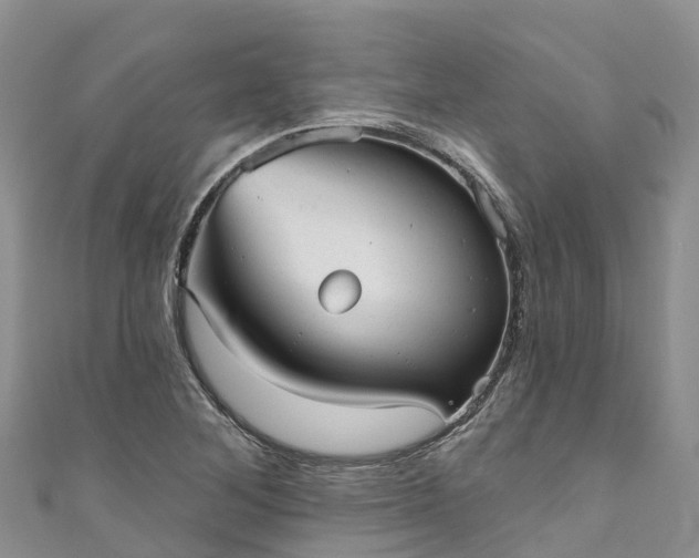 X0000110961268200906261334