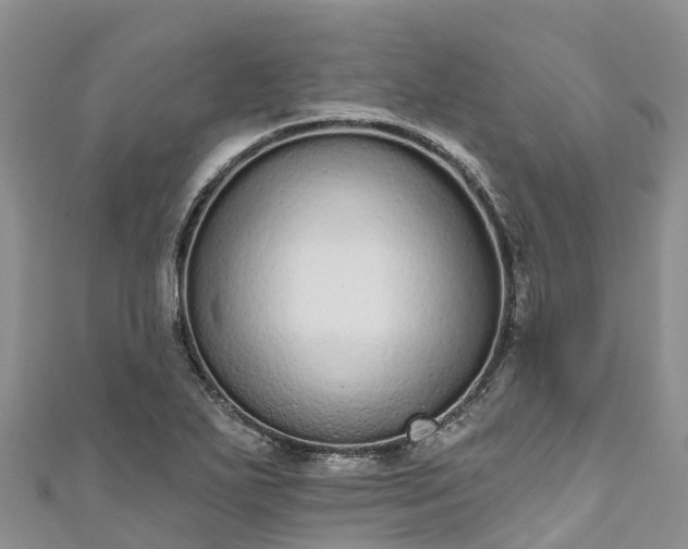 X0000110961271200906261334