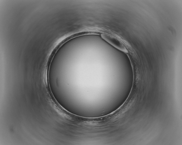 X0000110961272200906261334