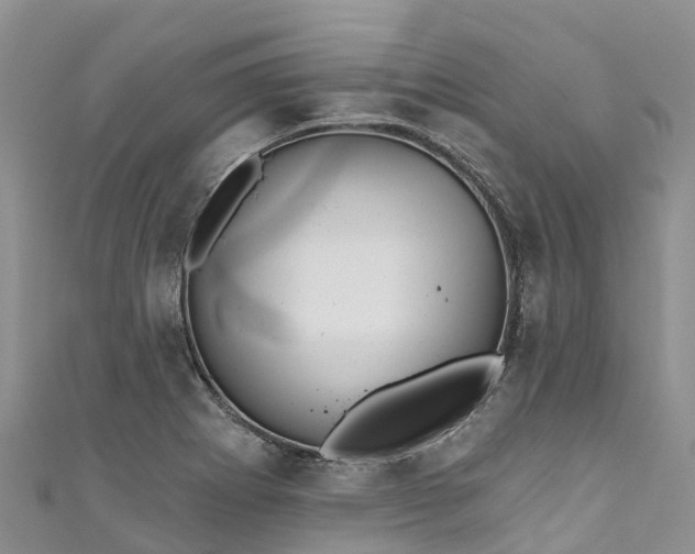 X0000110961273200906261334
