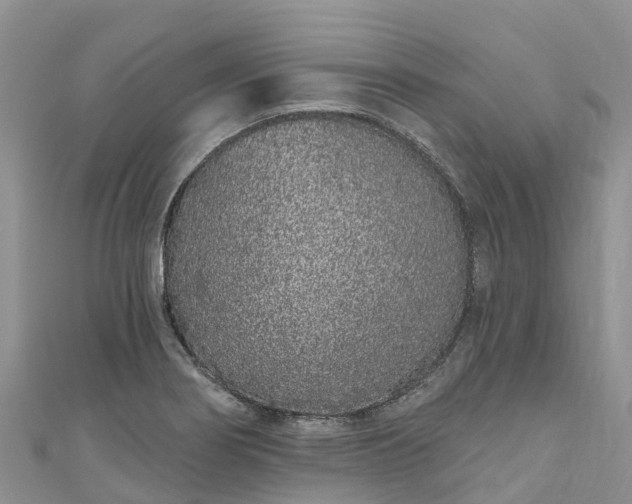 X0000110961274200906261334