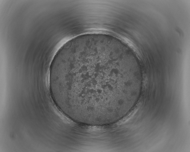 X0000110961275200906261334