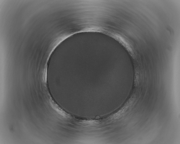 X0000110961276200906261334