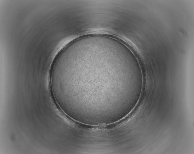 X0000110961277200906261334