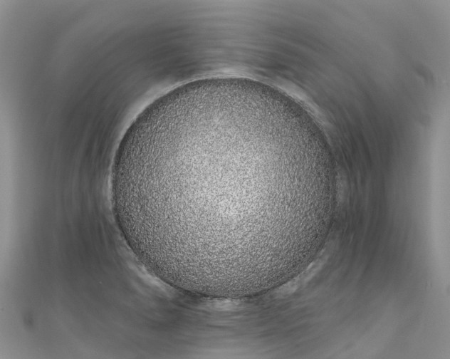 X0000110961278200906261334