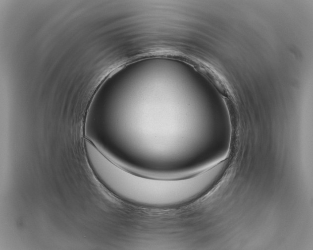 X0000110961281200906261334