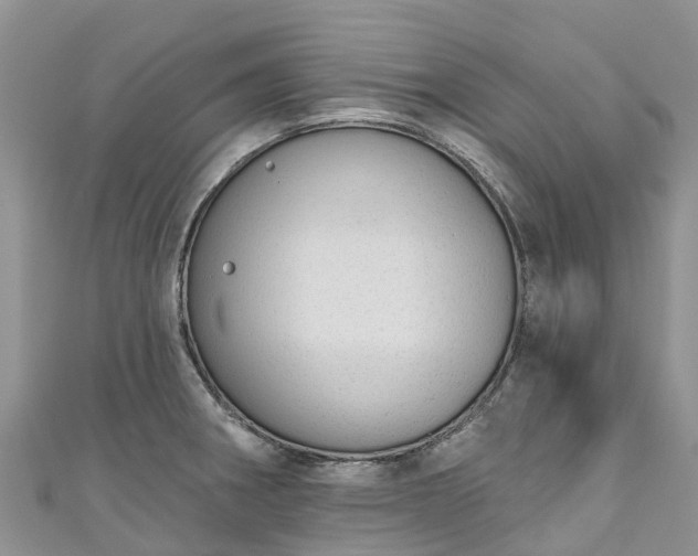 X0000110961282200906261334