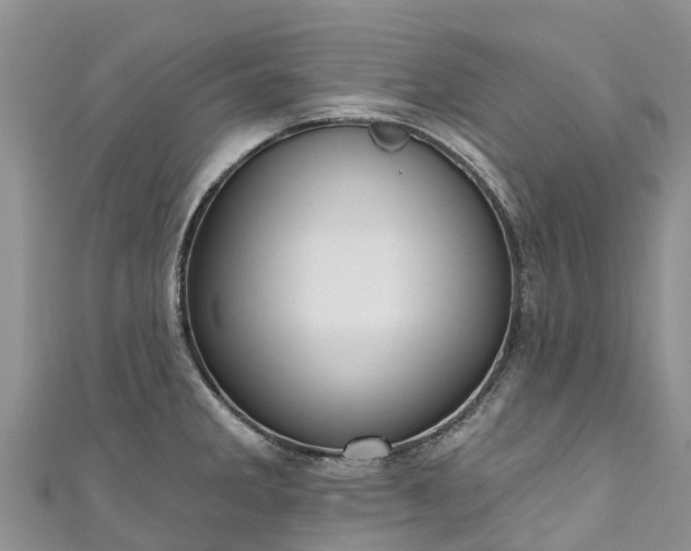 X0000110961285200906261334