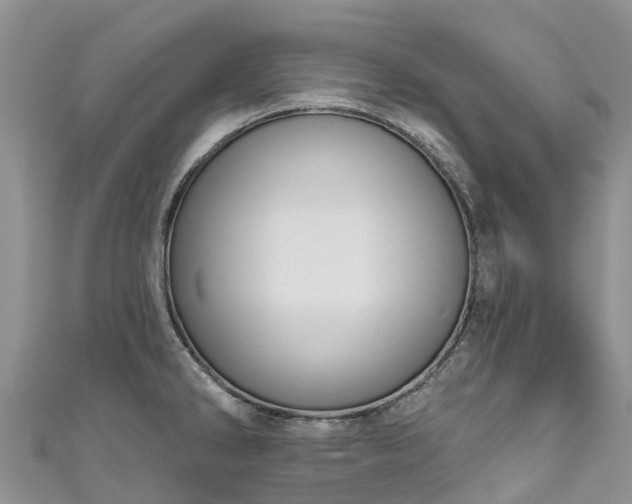 X0000110961286200906261334