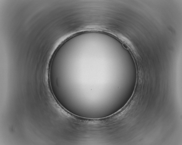 X0000110961288200906261334