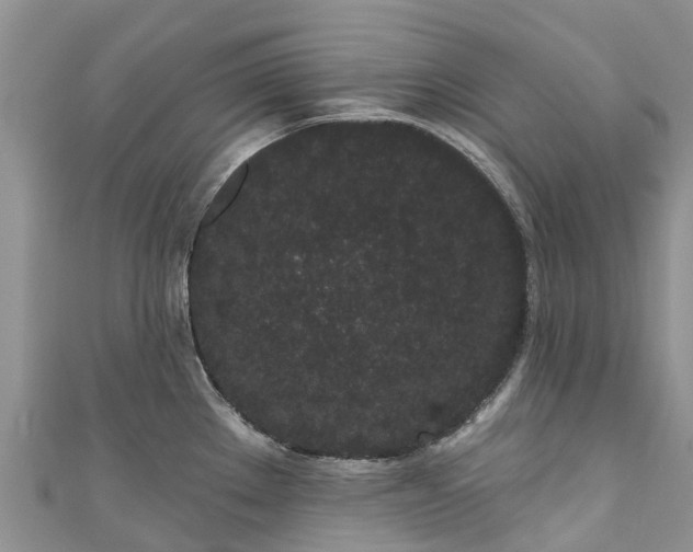 X0000110961289200906261334