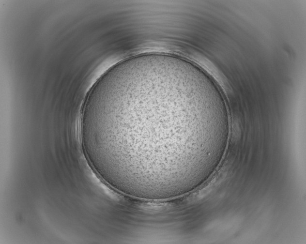X0000110961290200906261334
