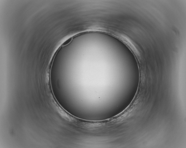 X0000110961292200906261334