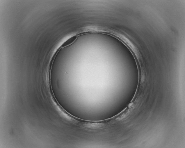 X0000110961293200906261334