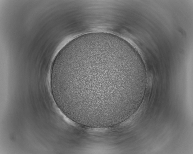 X0000110961294200906261334