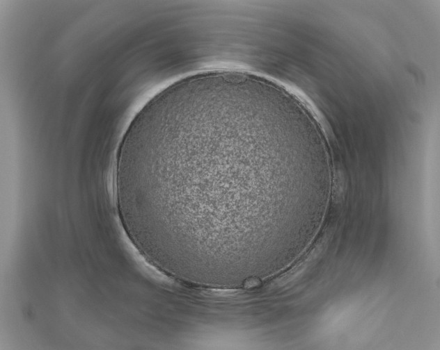 X0000110961295200906261334