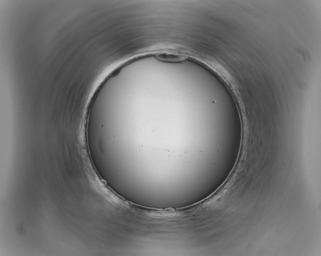 X0000110961296200906261334