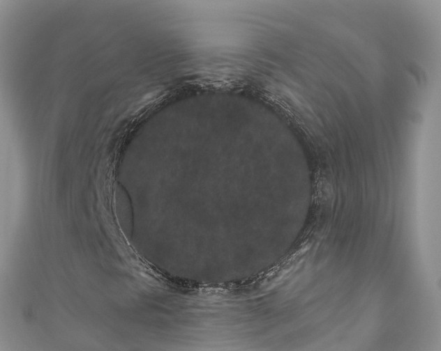 X0000110961297200906261333