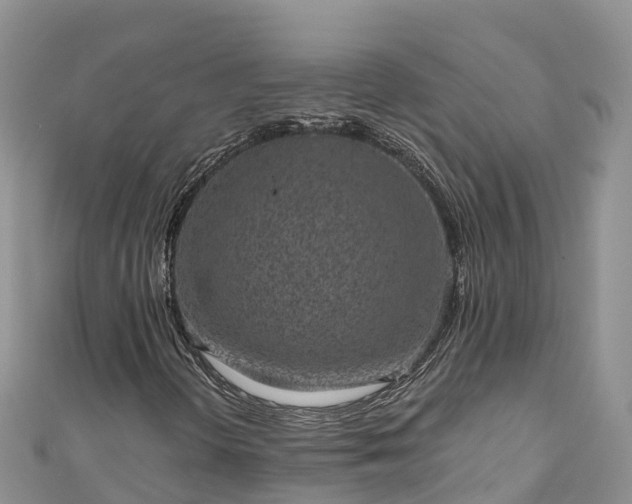 X0000110961298200906261333