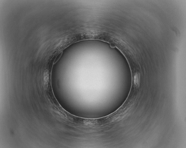 X0000110961299200906261333