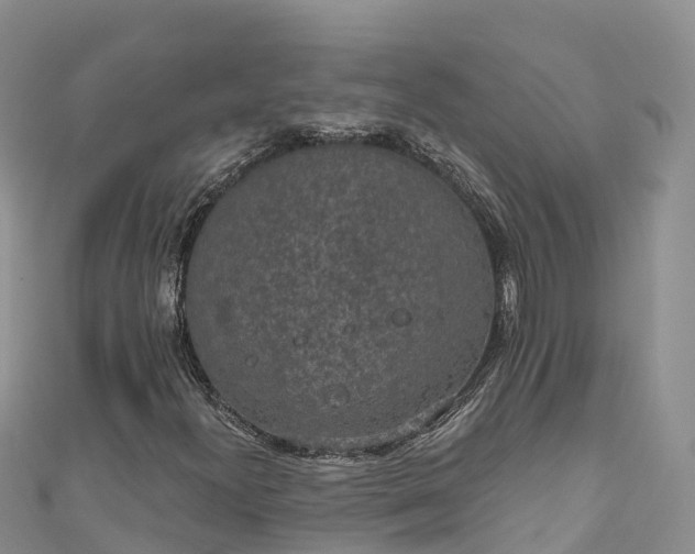 X0000110961300200906261333