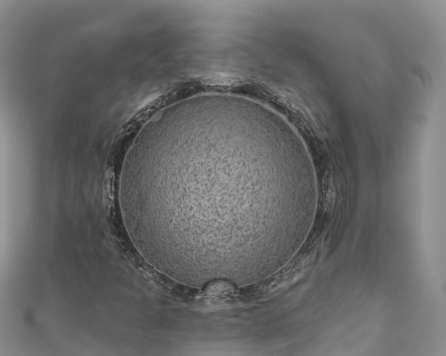 X0000110961301200906261333
