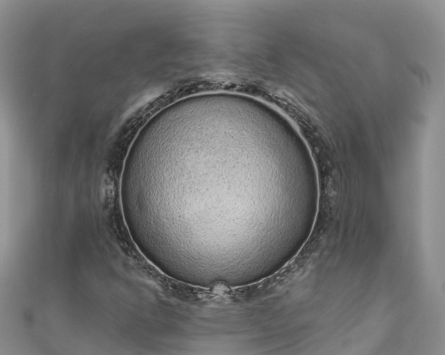 X0000110961302200906261333