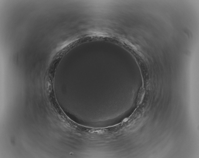 X0000110961303200906261333