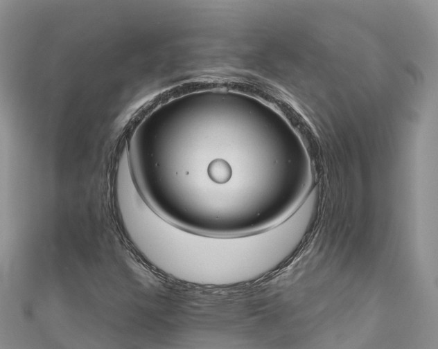 X0000110961304200906261333