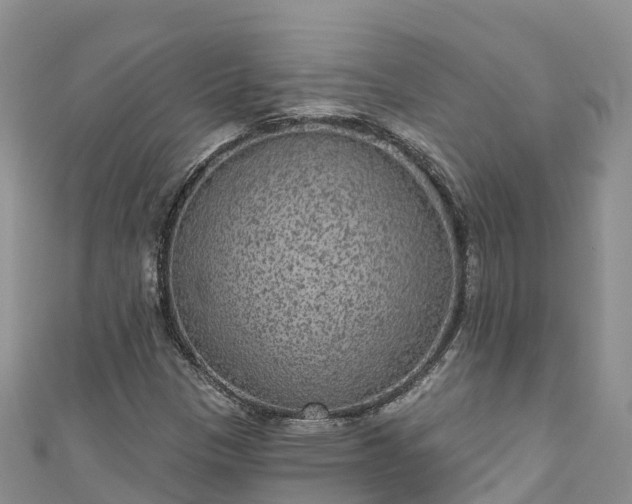 X0000110961305200906261333