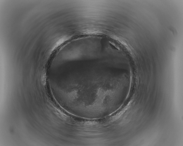X0000110961306200906261333