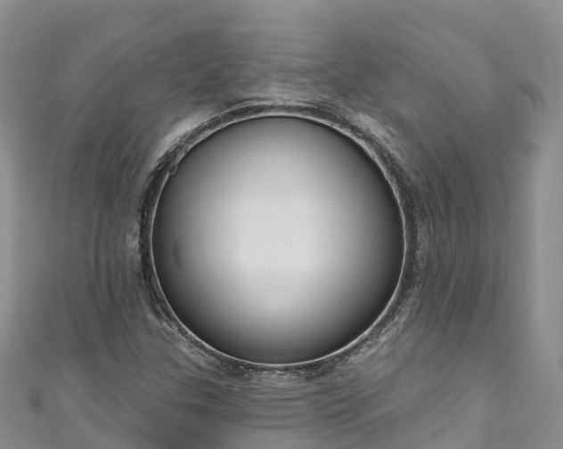 X0000110961307200906261333
