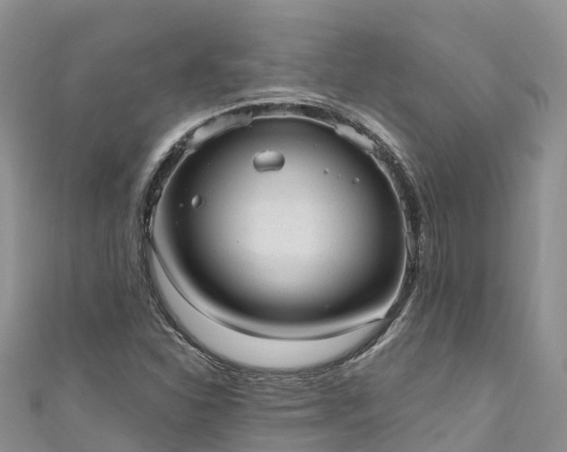 X0000110961310200906261333